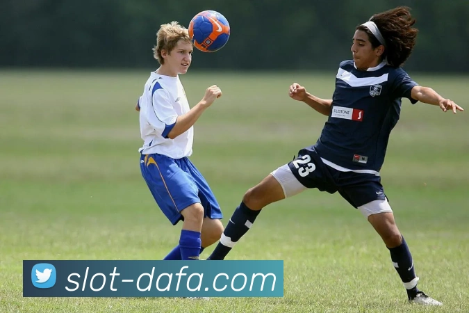 大发娱乐平台生态图